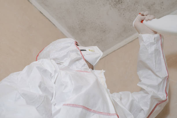 Trusted Monson Center, MA Mold Remediation Experts